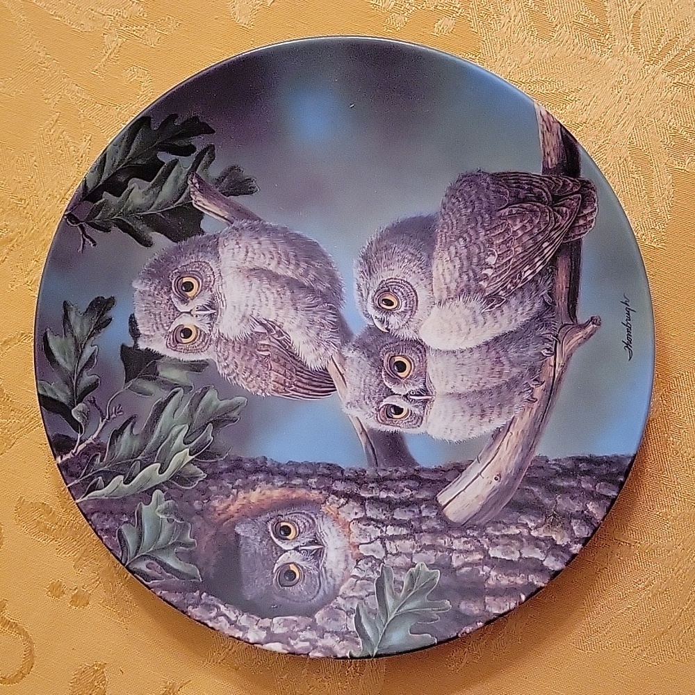 Bradford Exchange Peek-a-whoo Screech Owls collector plate